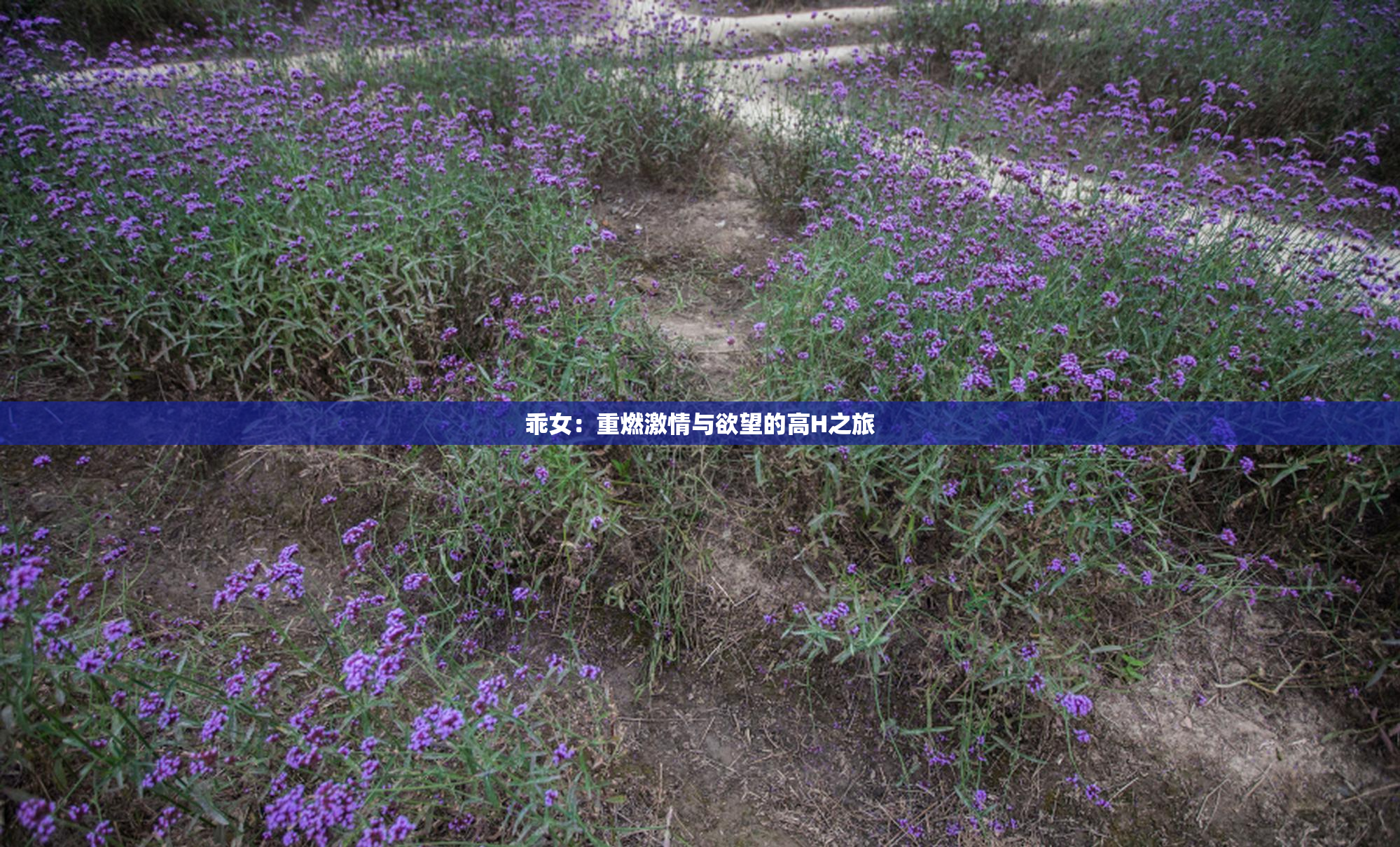 乖女：重燃激情与欲望的高H之旅