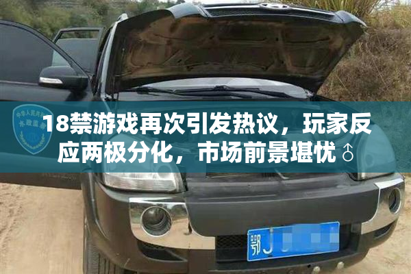 18禁游戏再次引发热议，玩家反应两极分化，市场前景堪忧♂