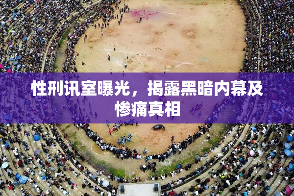 性刑讯室曝光，揭露黑暗内幕及惨痛真相