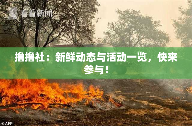 撸撸社：新鲜动态与活动一览，快来参与！