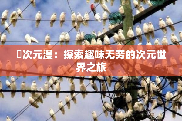 囧次元漫：探索趣味无穷的次元世界之旅