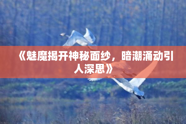 《魅魔揭开神秘面纱，暗潮涌动引人深思》