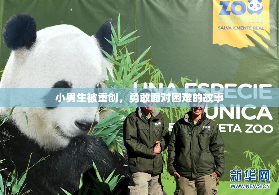 小男生被重创，勇敢面对困难的故事