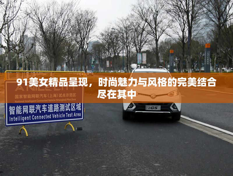 91美女精品呈现，时尚魅力与风格的完美结合尽在其中