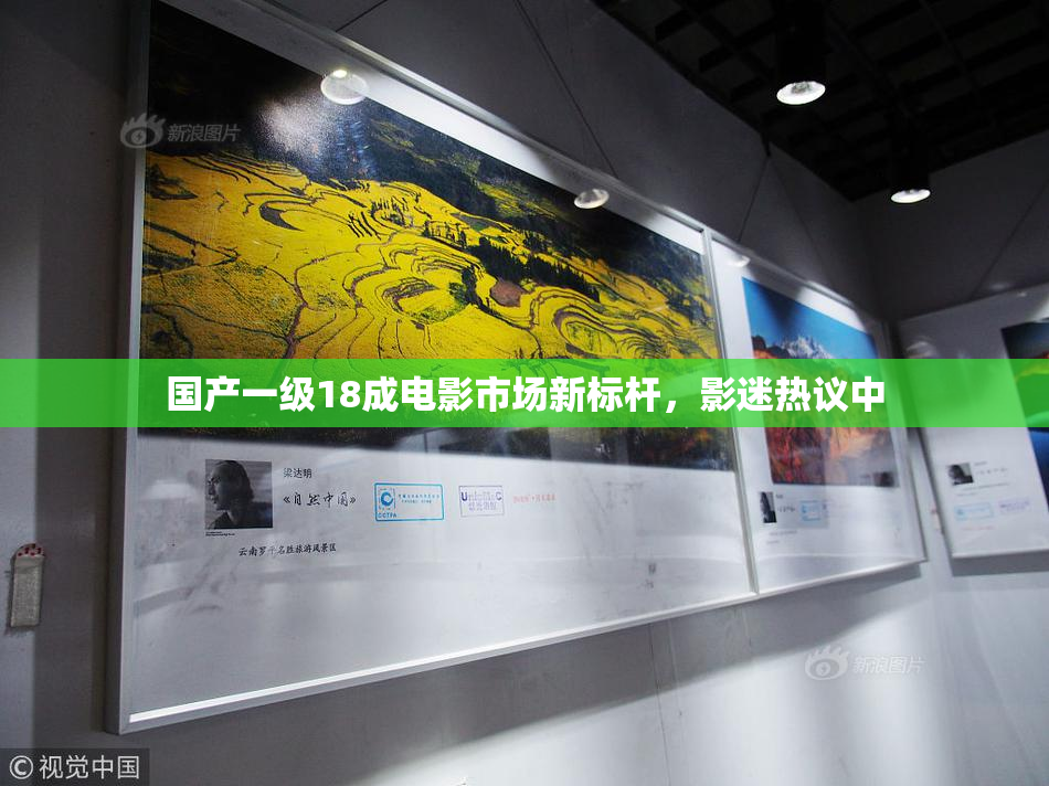 国产一级18成电影市场新标杆，影迷热议中