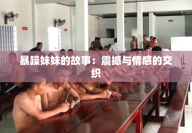 暴躁妹妹的故事：震撼与情感的交织