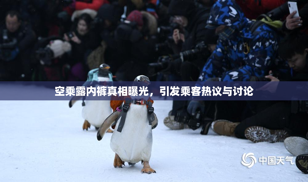 空乘露内裤真相曝光，引发乘客热议与讨论