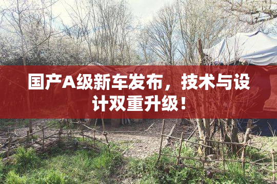 国产A级新车发布，技术与设计双重升级！
