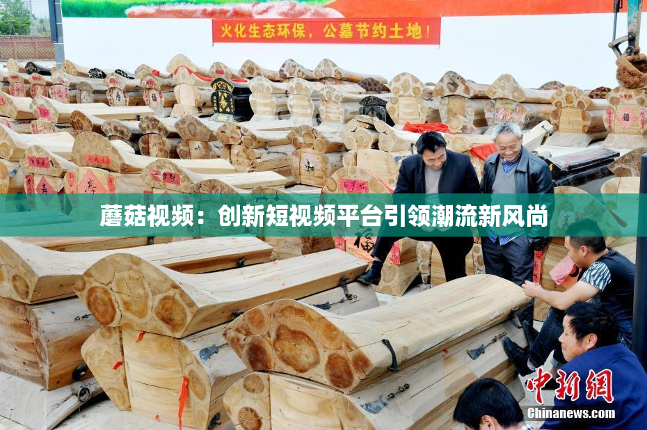蘑菇视频：创新短视频平台引领潮流新风尚
