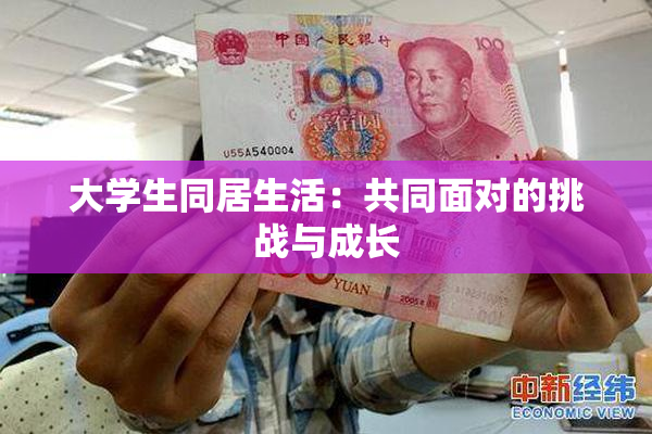 大学生同居生活：共同面对的挑战与成长