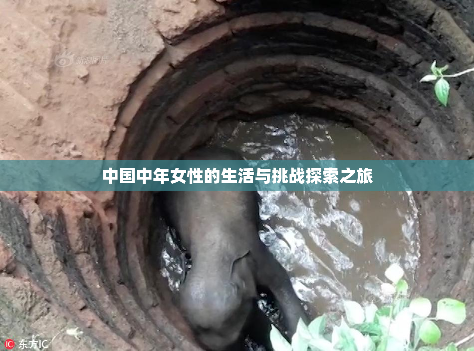 中国中年女性的生活与挑战探索之旅