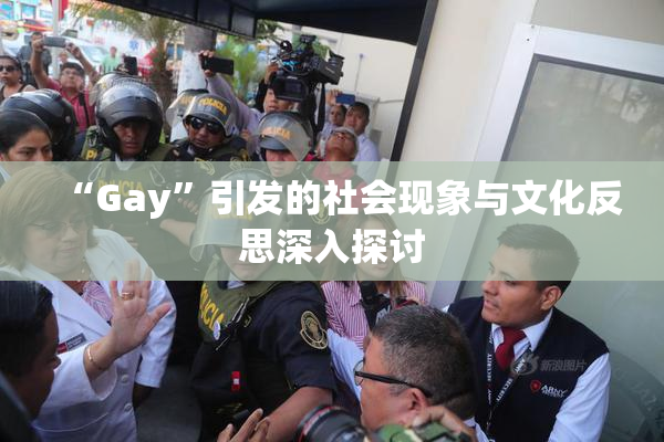 “Gay”引发的社会现象与文化反思深入探讨