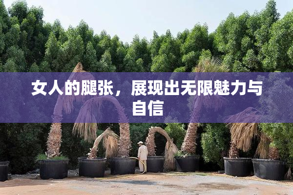 女人的腿张，展现出无限魅力与自信