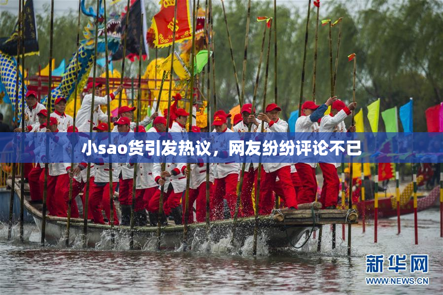 小sao货引发热议，网友纷纷评论不已