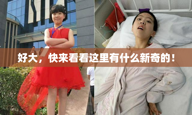 好大，快来看看这里有什么新奇的！