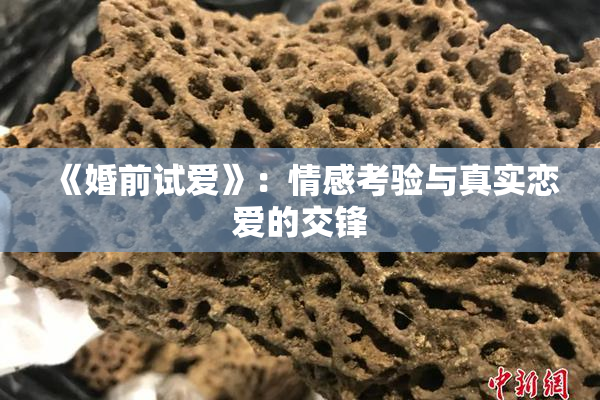 《婚前试爱》：情感考验与真实恋爱的交锋