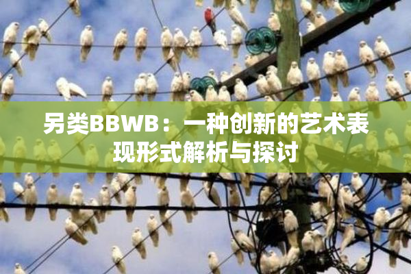 另类BBWB：一种创新的艺术表现形式解析与探讨