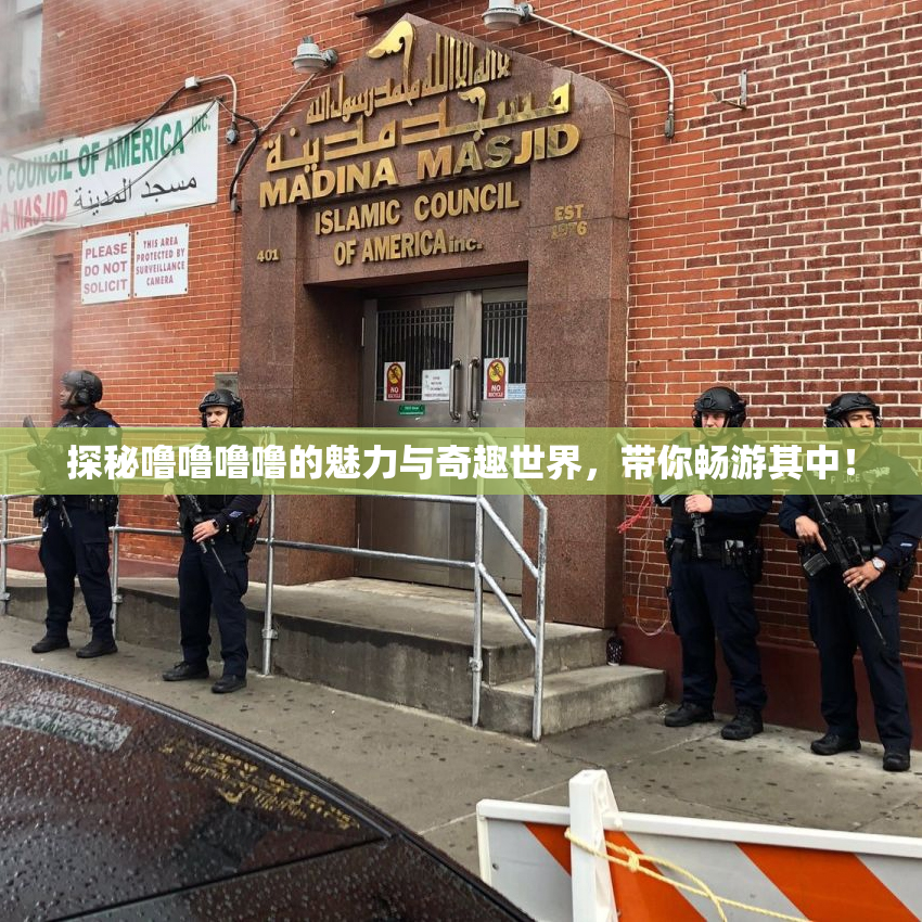 探秘噜噜噜噜的魅力与奇趣世界，带你畅游其中！