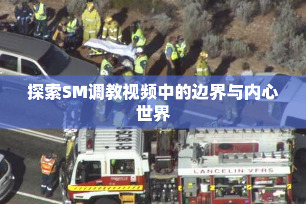 探索SM调教视频中的边界与内心世界