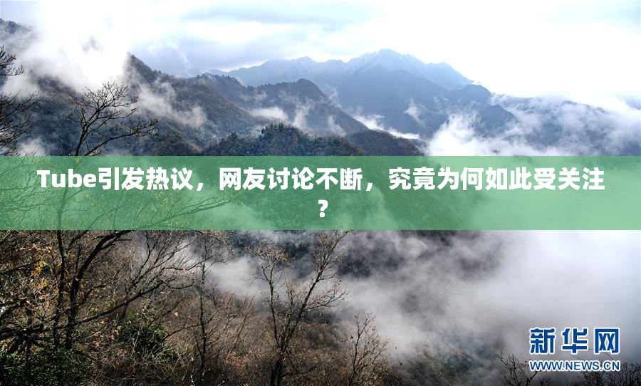 Tube引发热议，网友讨论不断，究竟为何如此受关注？