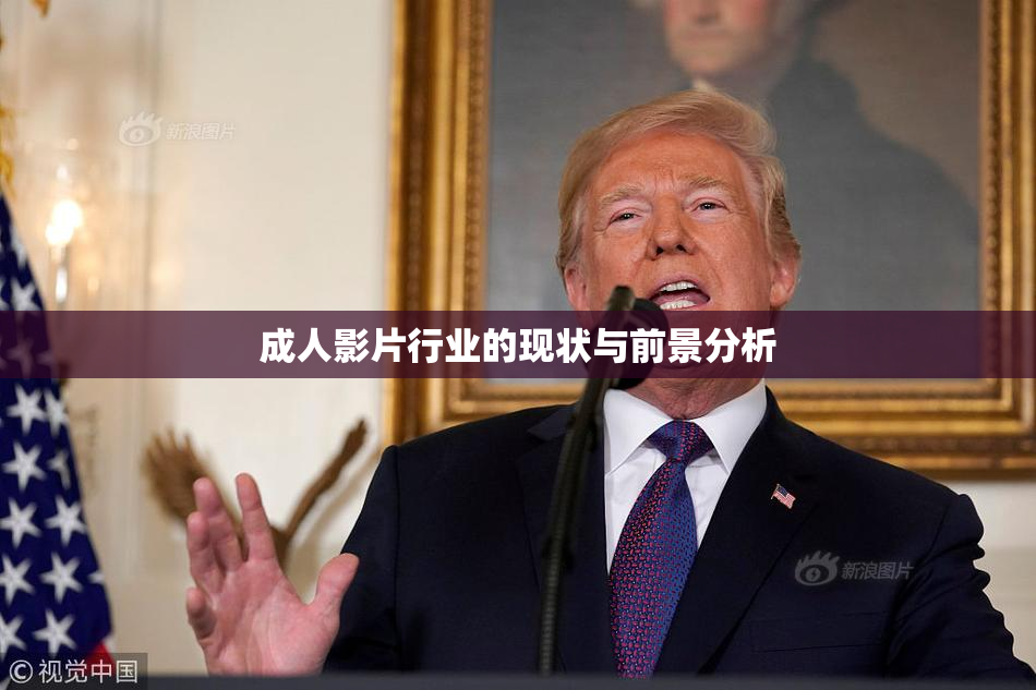 成人影片行业的现状与前景分析