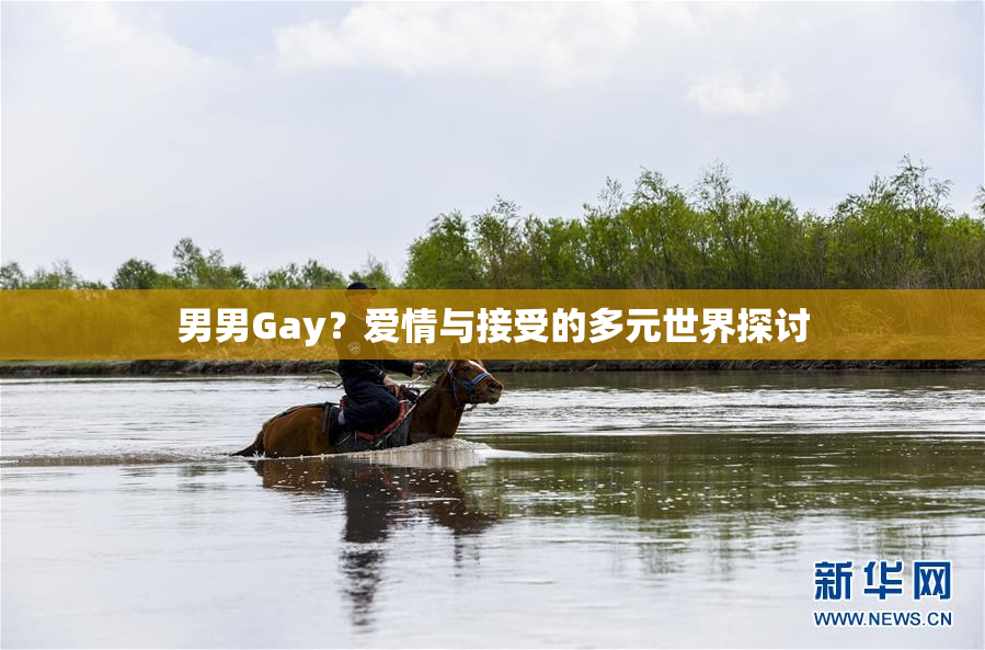 男男Gay？爱情与接受的多元世界探讨