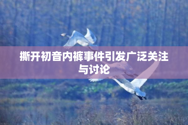 撕开初音内裤事件引发广泛关注与讨论