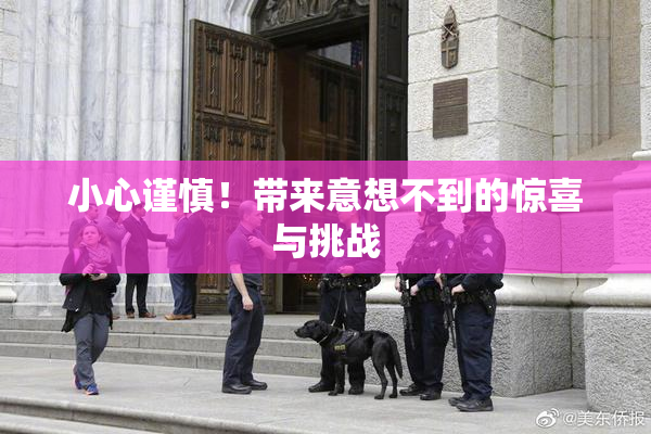 小心谨慎！带来意想不到的惊喜与挑战