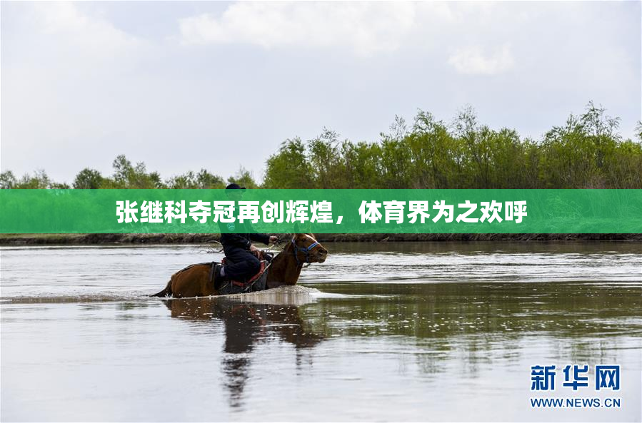 张继科夺冠再创辉煌，体育界为之欢呼
