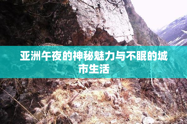亚洲午夜的神秘魅力与不眠的城市生活