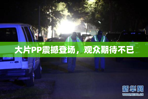 大片PP震撼登场，观众期待不已