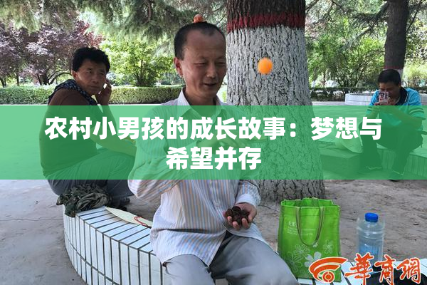 农村小男孩的成长故事：梦想与希望并存
