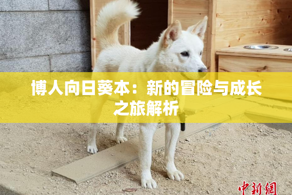 博人向日葵本：新的冒险与成长之旅解析