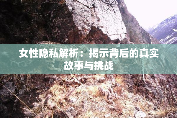 女性隐私解析：揭示背后的真实故事与挑战