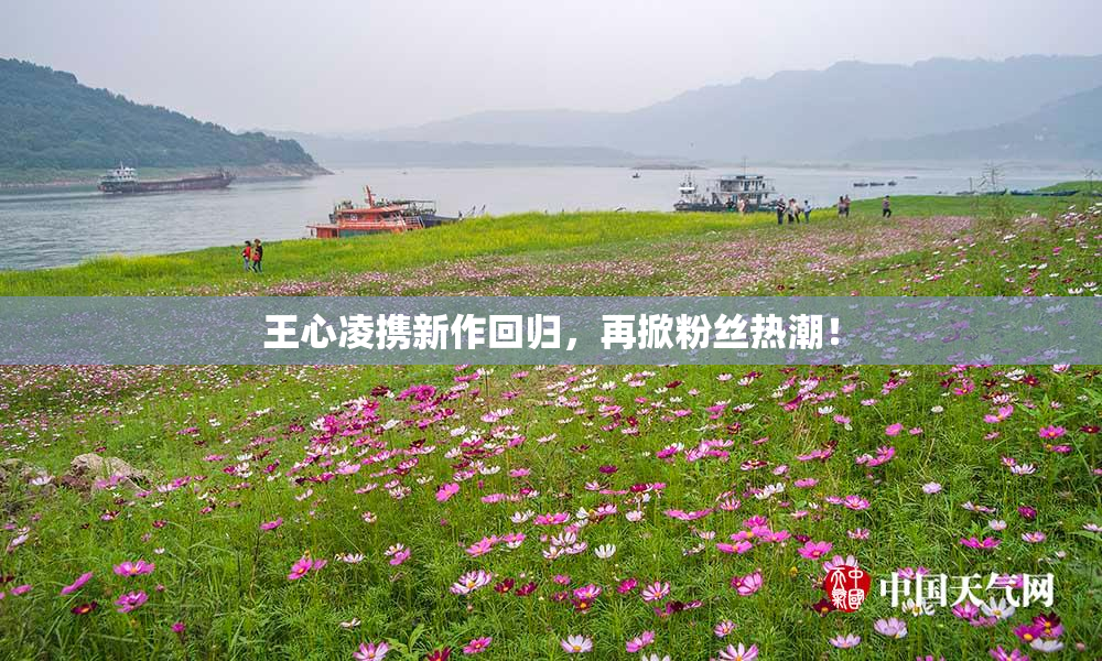 王心凌携新作回归，再掀粉丝热潮！