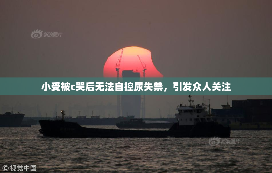 小受被c哭后无法自控尿失禁，引发众人关注
