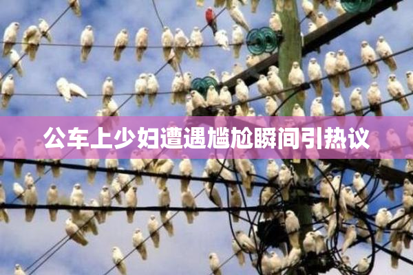 公车上少妇遭遇尴尬瞬间引热议