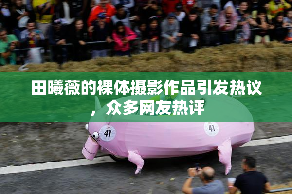 田曦薇的裸体摄影作品引发热议，众多网友热评