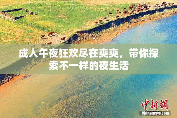 成人午夜狂欢尽在爽爽，带你探索不一样的夜生活