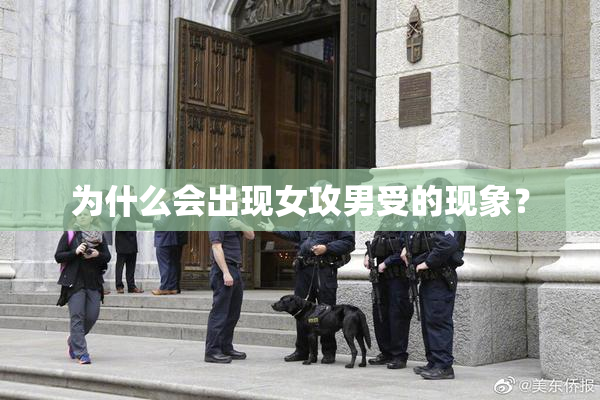 为什么会出现女攻男受的现象？