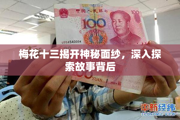 梅花十三揭开神秘面纱，深入探索故事背后