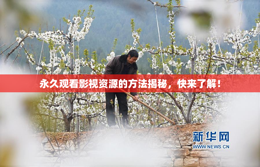 永久观看影视资源的方法揭秘，快来了解！