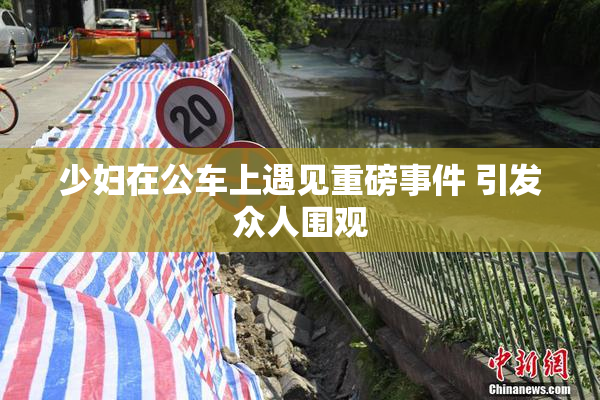 少妇在公车上遇见重磅事件 引发众人围观