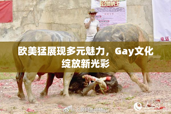 欧美猛展现多元魅力，Gay文化绽放新光彩