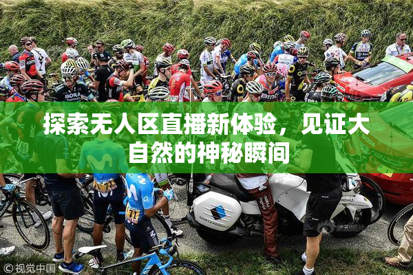 探索无人区直播新体验，见证大自然的神秘瞬间