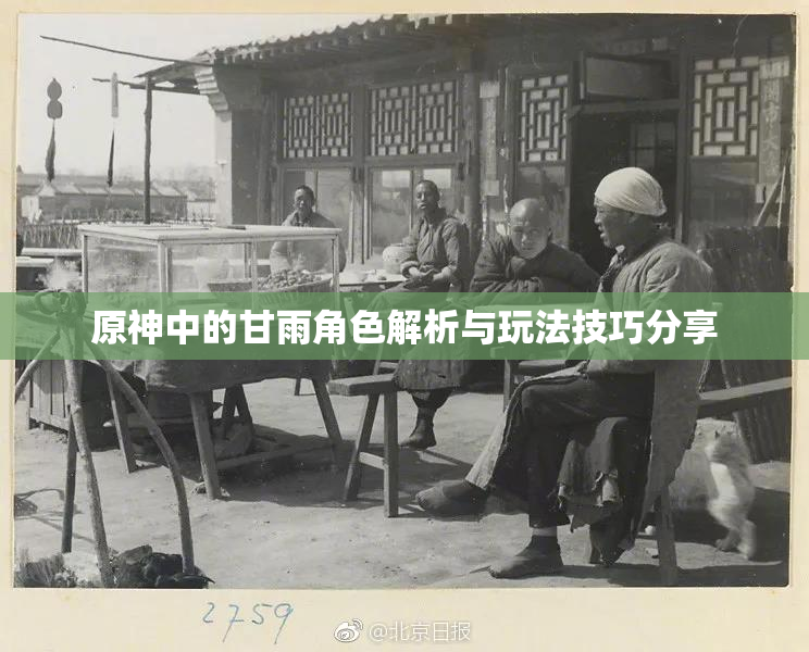 原神中的甘雨角色解析与玩法技巧分享