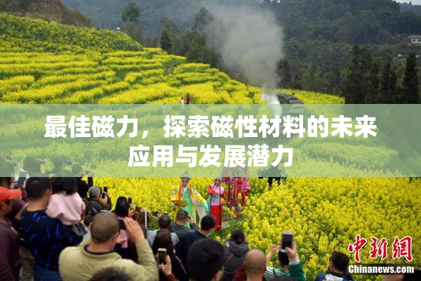 最佳磁力，探索磁性材料的未来应用与发展潜力