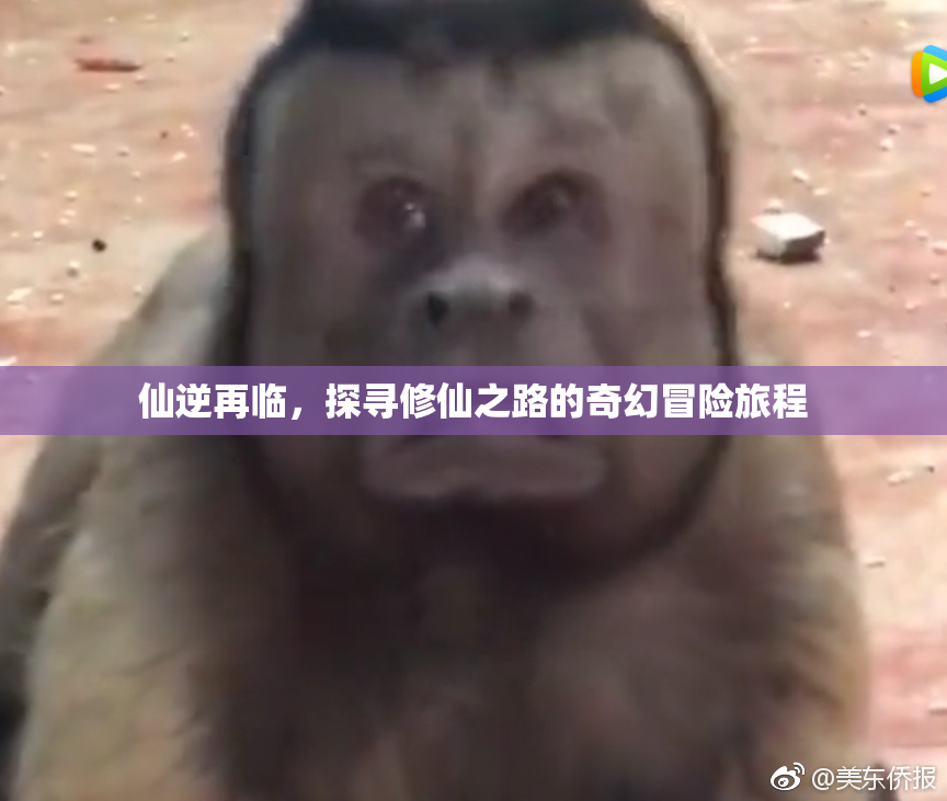 仙逆再临，探寻修仙之路的奇幻冒险旅程