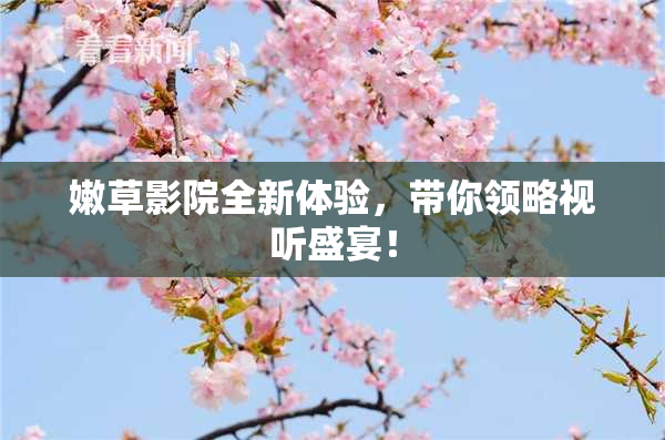 嫩草影院全新体验，带你领略视听盛宴！