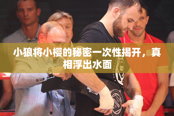 小狼将小樱的秘密一次性揭开，真相浮出水面